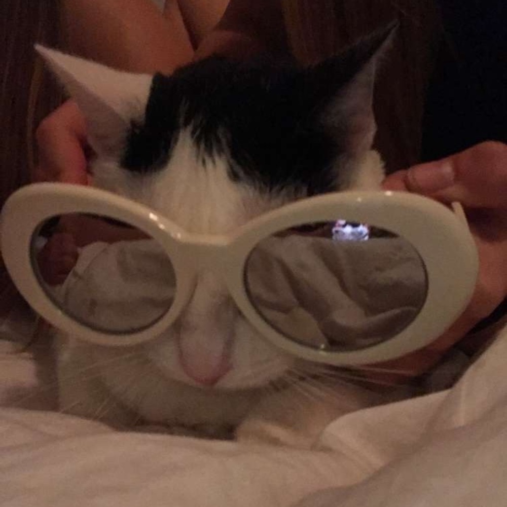 Meet your Posher, Julianna